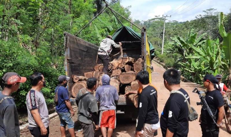 Polres Tanggamus Amankan Dua Truck Berisi 136 Batang Sonokeling